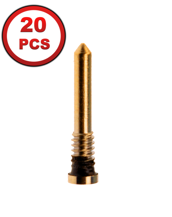 iPhone X to 14 Pro Max Bottom Screw (GOLD) (Pack of 20)